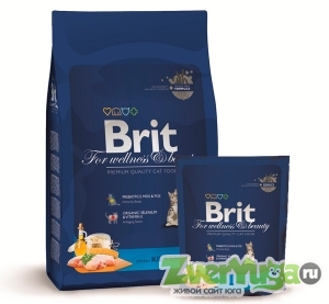 Купить Brit (Брит) премиум сухой корм для котят с курицей (Brit)