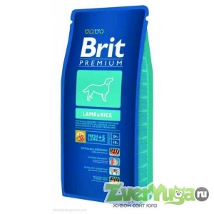 Brit Premium ()        (Brit)
