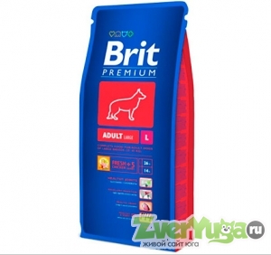  Brit Premium ( )       (Brit)
