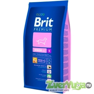  Brit Premium ( )       (Brit)
