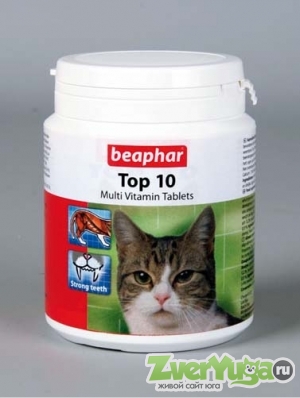  Beaphar () Top 10 For Cats    ,   (Beaphar)