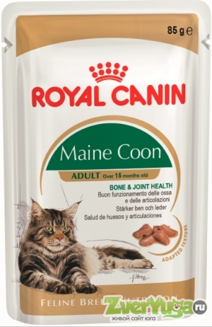 Купить Royal Canin Maine Coon Adult РК влажный корм для мейн кунов (Royal Canin)