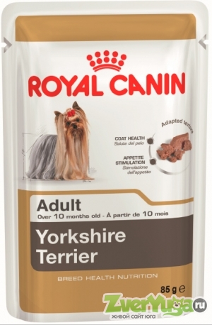  Royal Canin Yorkshire Terrier Adult     (Royal Canin)