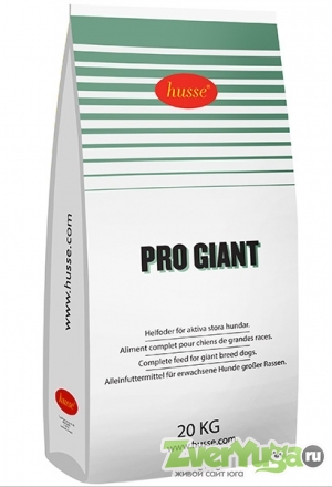  Husse Pro Giant         (Husse)