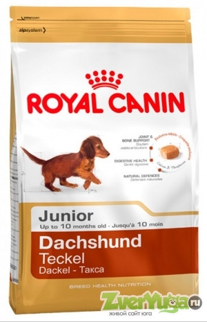  Royal Canin Dachshund 30 Junior     (Royal Canin)