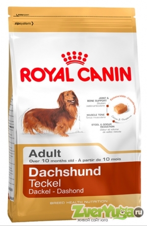 Купить Royal Canin Dachshund 28 Adult Роял Канин Такса (Royal Canin)
