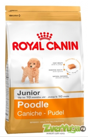  Royal Canin poodle 33 junior      (Royal Canin)