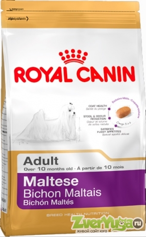  Royal Canin Maltese 24    24 (Royal Canin)