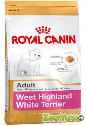  Royal Canin West Highland White Terrier 21     (Royal Canin)