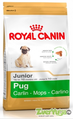  Royal Canin Pug Junior     (Royal Canin)