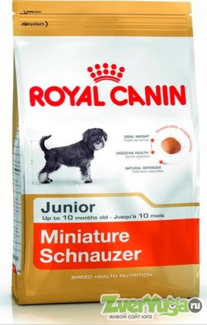  Royal Canin Miniature Schnauzer Junior     (Royal Canin)