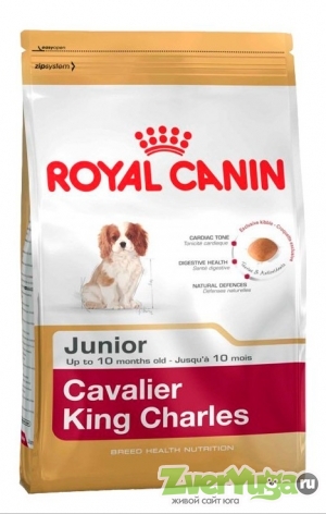 Купить Royal Canin Cavalier King Charles 27 Роял Канин Кавалер Кинг Чарлс 27 (Royal Canin)