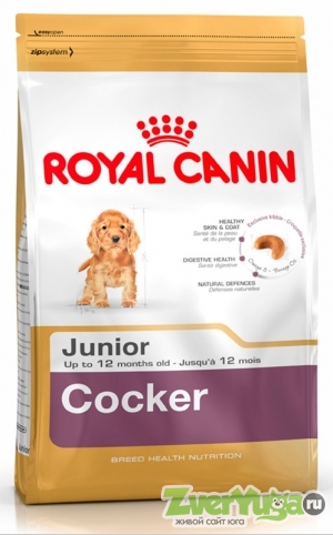 Купить Royal Canin Cocker Junior Роял Канин Кокер Юниор (Royal Canin)