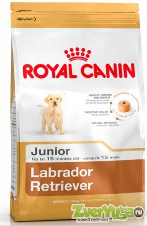  Royal Canin Labrador Retriever 33 Junior    33 (Royal Canin)