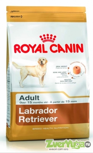  Royal Canin Labrador Retriever 30 Adult   (Royal Canin)