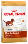 Royal Canin Dachshund 30 Junior Роял Канин Такса Юниор, Royal Canin