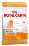 Royal Canin poodle 33 junior Роял Канин для щенков пуделя, Royal Canin