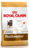 Royal Canin Rottweiler 31 Junior Роял Канин Ротвейлер 31 Юниор, Royal Canin