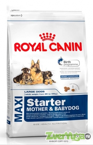  Royal Canin Maxi Starter     (Royal Canin)