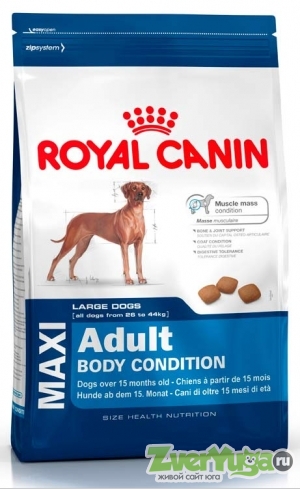  Royal Canin Maxi Adult Body Condition      (Royal Canin)