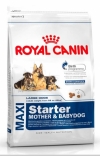 Royal Canin Maxi Starter Роял Канин Макси Стартер, Royal Canin