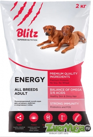 Купить Blitz Adult All Breeds Energy Блитц корм для активных собак (Blitz)