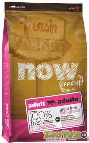  NOW FRESH Adult Grain Free       ,    (Now)