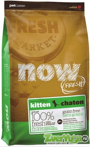  NOW FRESH Kitten Grain Free       1   ,    (Now)