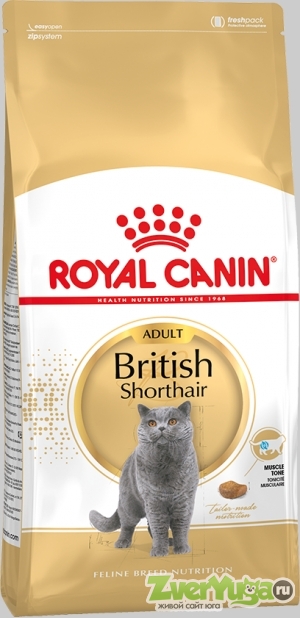 Купить Royal Canin British Shorthair 34 Роял Канин Британская Короткошерстная (Royal Canin)