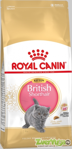  Royal Canin Kitten British Shorthair      (Royal Canin)