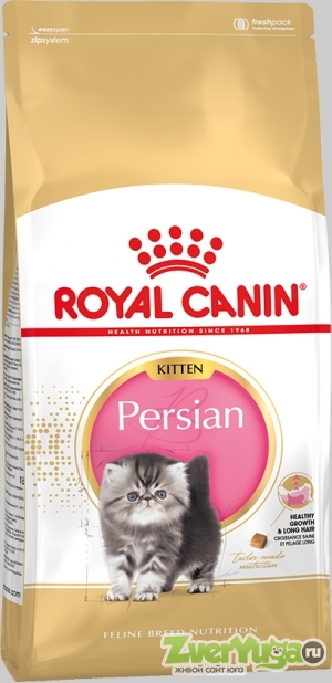 Купить Royal Canin Kitten Persian 32 Роял Канин Киттен Персиан (Royal Canin)