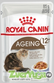 Купить Royal Canin Ageing +12 Роял Канин Эйджинг +12, желе (Royal Canin)