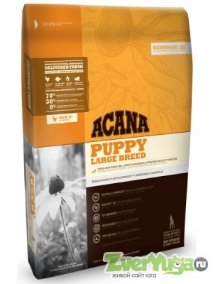  Acana puppy large breed    (Acana)